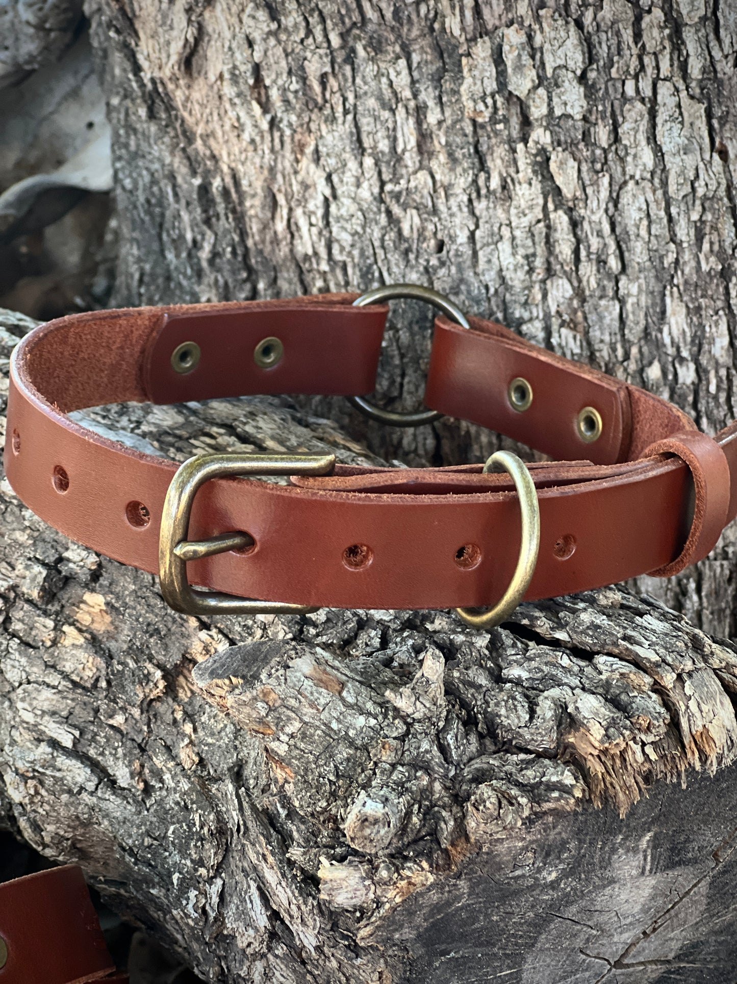 Dog Collar